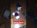 Spinning spinner & Uwell Koko prime