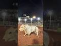 #Rodeio #Touro #Peão