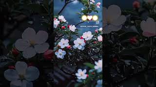Download Lagu sed#sed #song#viral#shorts linux sedsed ssed s *men sedsed unixse dsed gameawk \u0026 sed MP3 Download Lagu sed#sed #song#viral#shorts linux sedsed ssed s *men sedsed unixse dsed gameawk \u0026 sed MP3