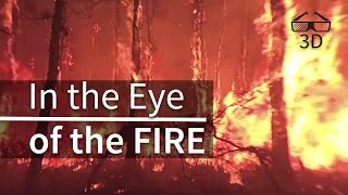 In the Eye of the Fire - 360° video screenshot 3