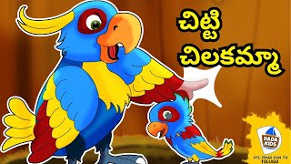 #chitti chilakamma #చిట్టి చిలకమ్మా #telugusongs #Cutest Baby Parrot Sings Telugu Nursery Rhyme