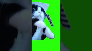 Techno cat meme Green Screen