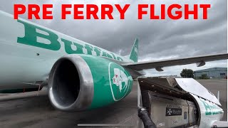 Buffalo Airways 737-300 Walkaround ahead of the Ferry flight!