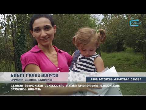 \"გააზიარე შენი სოფლის რეალური ისტორიები\" -  აკეთში სურმავების ოჯახი სოციალური დახმარების ითხოვს