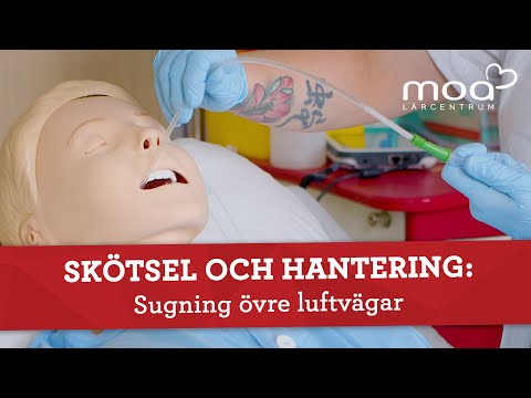 Video: Invasiv Pseudomembranös övre Luftväg Och Luftstrupe Aspergillos Eldfast Mot Systemisk Antifungsterapi Och Seriell Kirurgisk Debridement Hos En Immunkompetent Patient