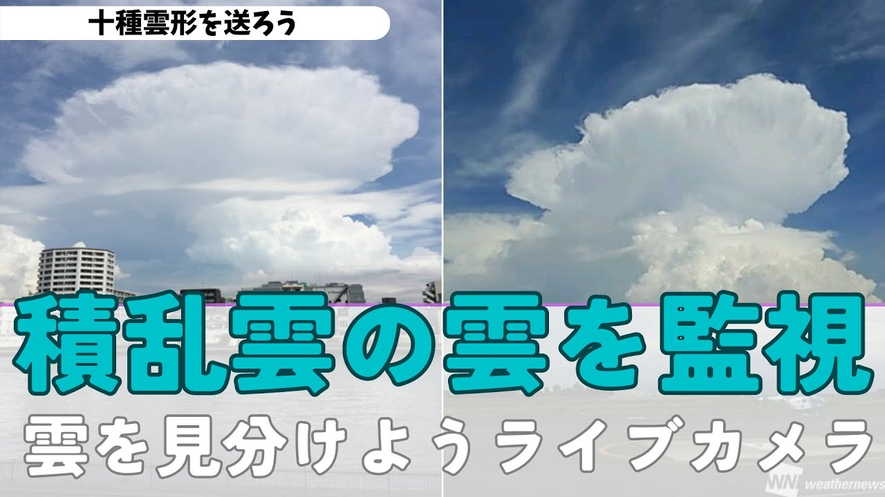 LIVE】積乱雲の雲を監視 雲を見分けようライブカメラ/ 全国のソラカメ