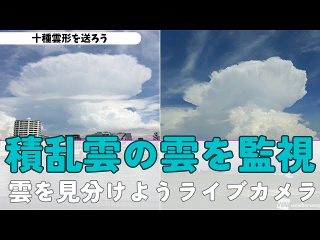 LIVE】積乱雲の雲を監視 雲を見分けようライブカメラ/ 全国のソラカメ