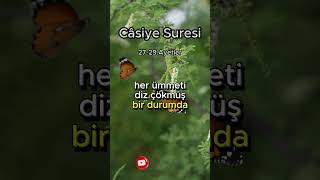 Câsiye Suresi meali 27-29.Ayetler Surenin tamamı kanalımda #kuran #quran #muslim #islam #namaz