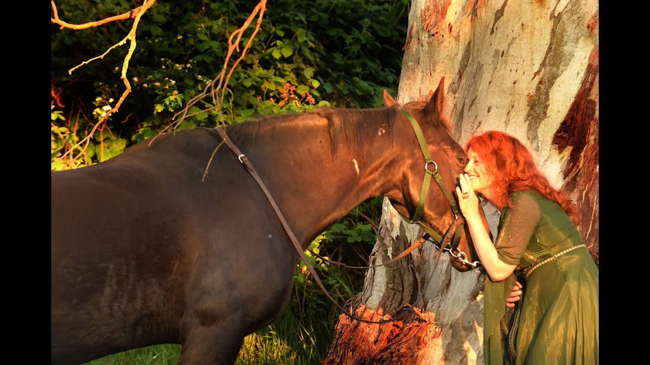 Rachael from Heart of the Horse sharing a precious moment with Boomer under the ancient gum tree