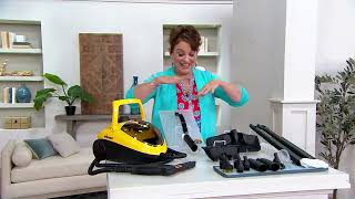 Wagner 915e On-Demand Power Steamer with 18 Accessories on QVC