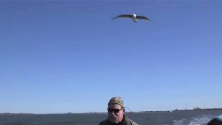 A World Within A World: The Bay Houses of Long Island teaser