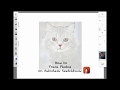 How to Trace Photos on Autodesk Sketchbook | How to Trace Images
