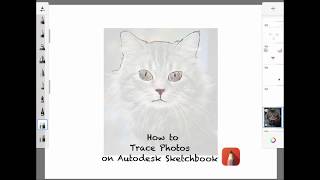 How to Trace Photos on Autodesk Sketchbook | How to Trace Images screenshot 5