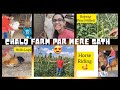 Chalo farmhouse chalte haiadventure with pratibha