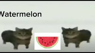 This Is A Watermelon