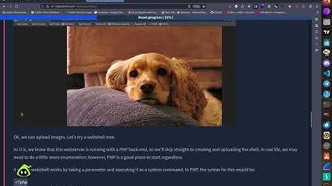 Upload Vulnerabilities TryHackMe WalkThrough Tasks 1-7