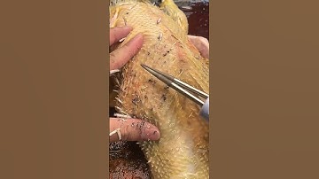 #tools #diy #tricks #tips #tutorials #craft #bushcraft #handmade