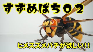 【ガチャ】続！高クオリティ巨大スズメバチ！！ すずめばち02を開封！！