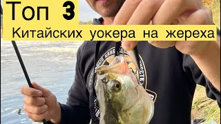 видео: Самые дешёвые уокеры на жереха | Мой топ 3 Rosy Dawn картинка: Самые дешёвые уокеры на жереха | Мой топ 3 Rosy Dawn