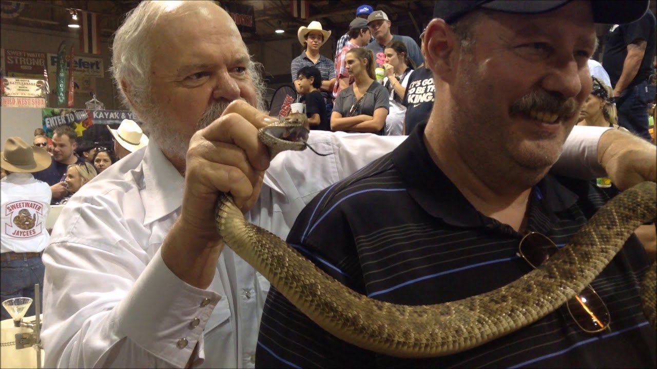 Rattle Snake Round Up SweetWater Texas YouTube