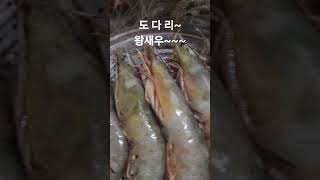 #해루질 #낚시 #캠핑 #여행 #먹방 #카페 #삼겹살