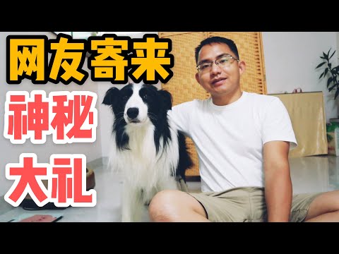 AL139集：阿龙刚到家，就收到网友亲手制作的大礼，太惊喜了！「Eng Sub」