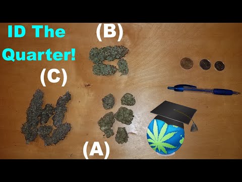 So U Think You Can Eyeball A Quarter? - Why Eyeballing Cannabis Is HARD