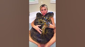 The Snake Was Starving But Not for Food #snake