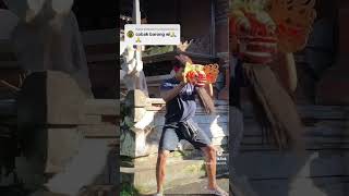 Download Lagu Belajar nari Barong Ket MP3 Download Lagu Belajar nari Barong Ket MP3