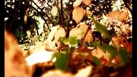 Alba Ecstasy & Adrian Enescu - Requiem for November