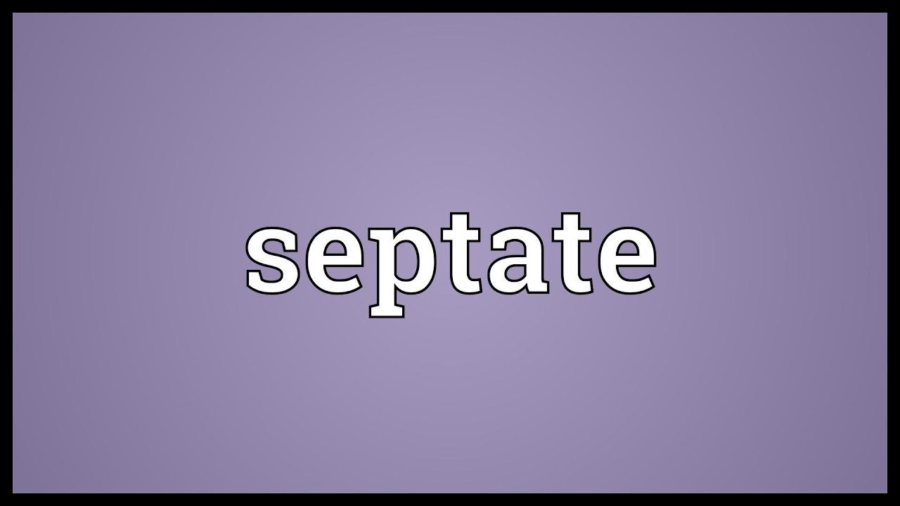 Septate Meaning - YouTube