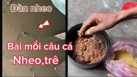 Bài mồi câu cá nheo,cá trê p1 moi người quan tâm để Theo dõi video mình câu nhé…