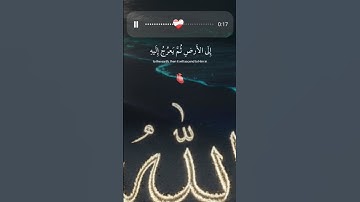 افلا تتذكرون يدبر الامر من السماء الى الارض #اكسبلور #القرآن_الكريم #قرآن #تلاوات #لايك