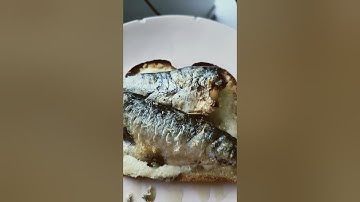 @traderjoes sardines, @DukesMayonnaise, and @saraleebread6751 for dinner toasted