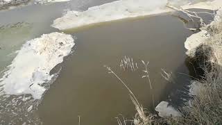 Вода прёт! Лёд вот-вот уйдёт! Ситуация перед ледоходом на реке Суре 20 марта 2023 года!