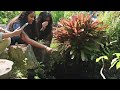 Earth-to-Table Discovery Tour | Lunch &amp; Learn with ChoZen Farm