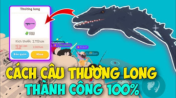 [PLAY TOGETHER] Hướng Dẫn Câu THƯƠNG LONG Khổng Lồ Thành Công 100% Trong Play Together