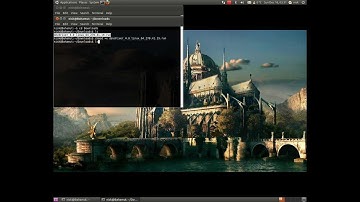 How To Install CUDA Driver On Ubuntu 10.10