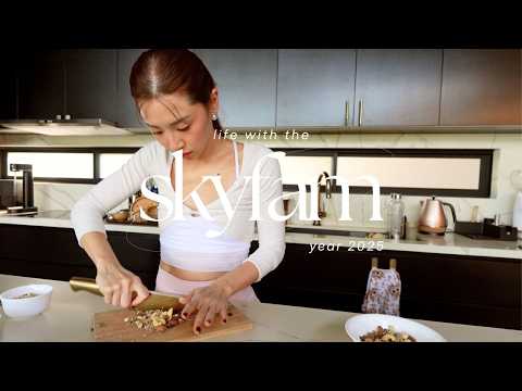 Family Tennis, Making the healthiest bread, Best Hair Spa in Cebu