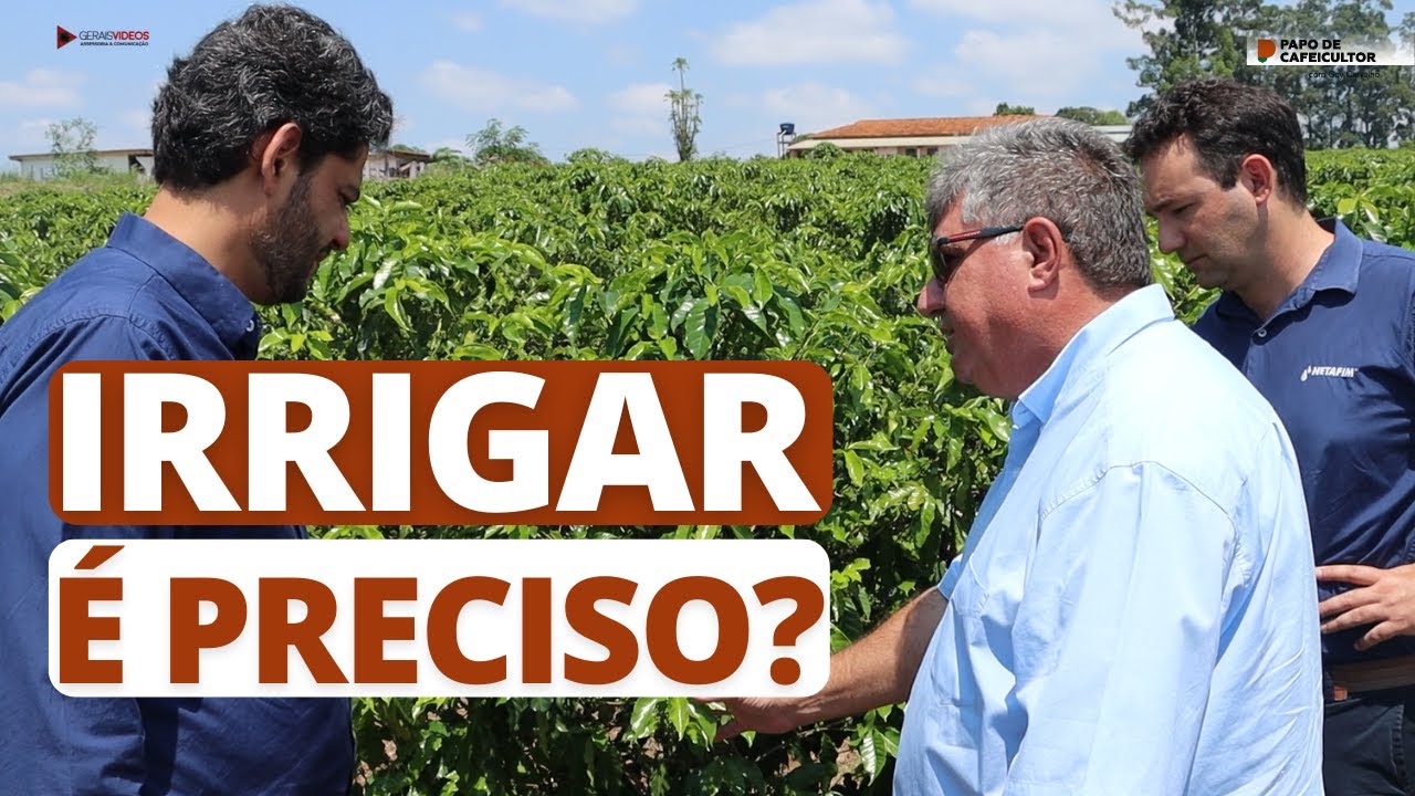 Irrigar é preciso?