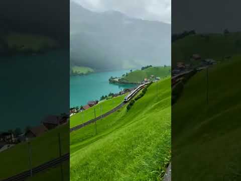 رزكار الكردي من سورة المرسلات