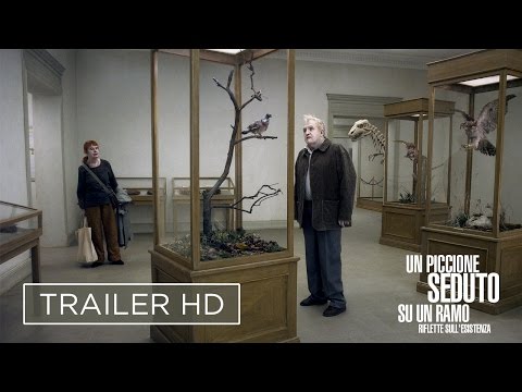 Un piccione seduto su un ramo riflette sull'esistenza - Trailer del Film Leone D'Oro a Venezia 2014