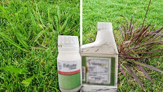 Testing Powerful Weed Control Combo on Dallisgrass, Crabgrass, and Other Tough Weeds