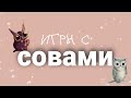 игры с совами🦉