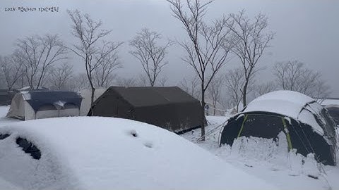 #장박캠핑 #눈오는날 #20250127