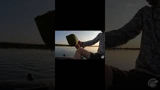 Прикармливание с лодки на закате. Карпфишинг  #карпдон #fishing #рыбалка