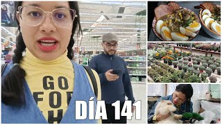 Vamos de compras para la casa y el jardín y mi esposo cocina un delicioso ramen │Vlog #141