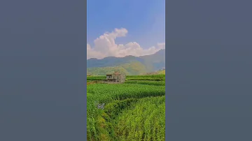 ايوب طارش حبيبي قلبي يحن حنينة اليمن السعيد مناظر طبيعية 