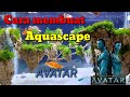 Cara membuat aquascape AVATAR