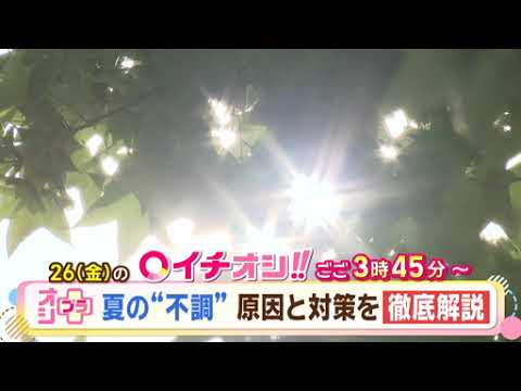 【公式】6月26日（金）イチオシ！！番組予告